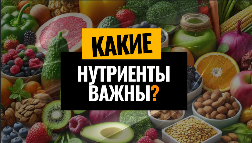 Растительное питание: Какие нутриенты важны?