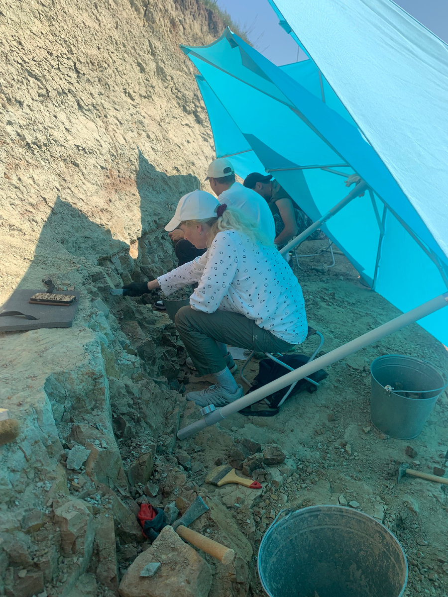 От жары спасают садовые зонты