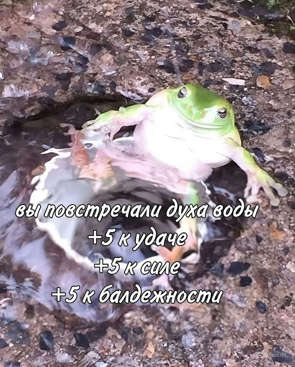 https://avatars.dzeninfra.ru/get-zen_doc/271828/pub_668d8dadc037b23e9a208cf7_668d91ec1cbd0d0f239b088f/scale_1200