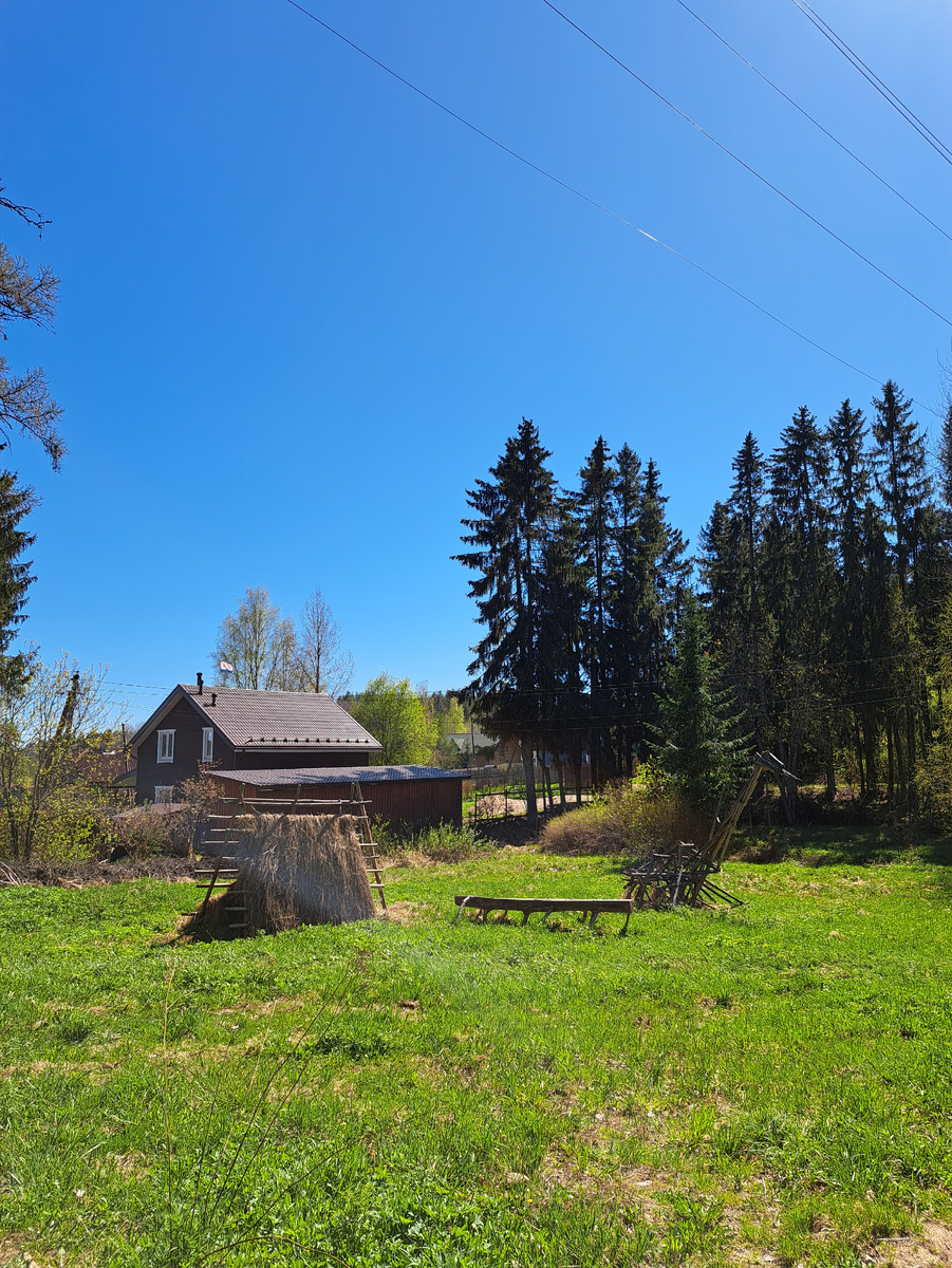 Территория у музея