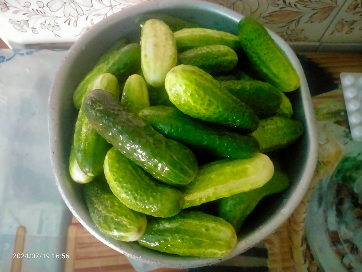 Фотография автора