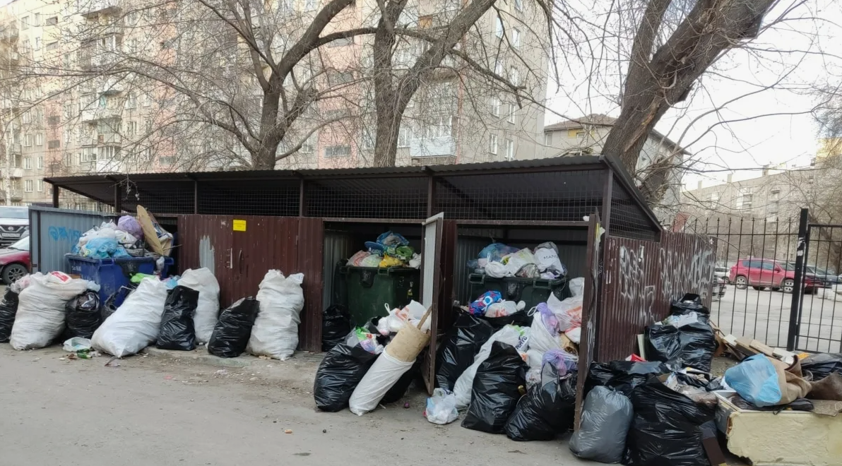 Фото из открытых источников сети Интернет