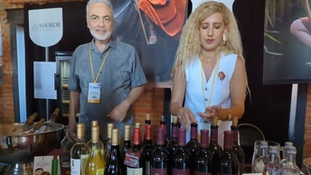 Выставка армянских вин в Москве ArmWine - 2024. Как это было