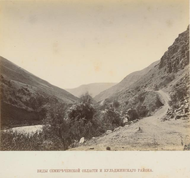 Добавьте описание