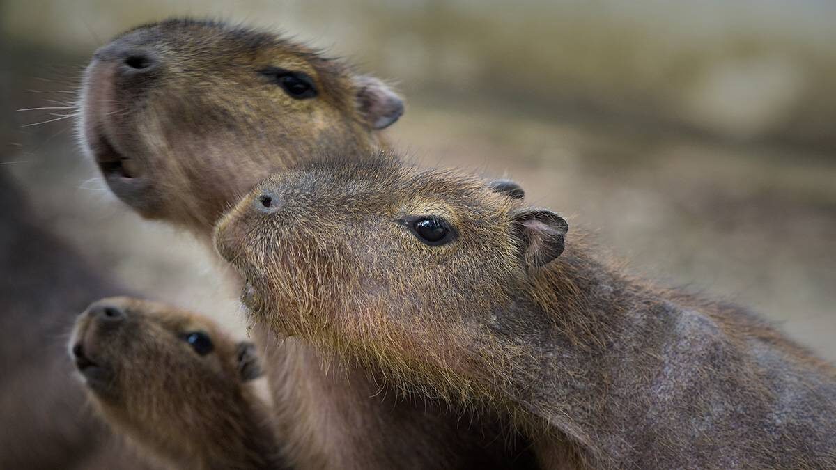    Фото: Shutterstock