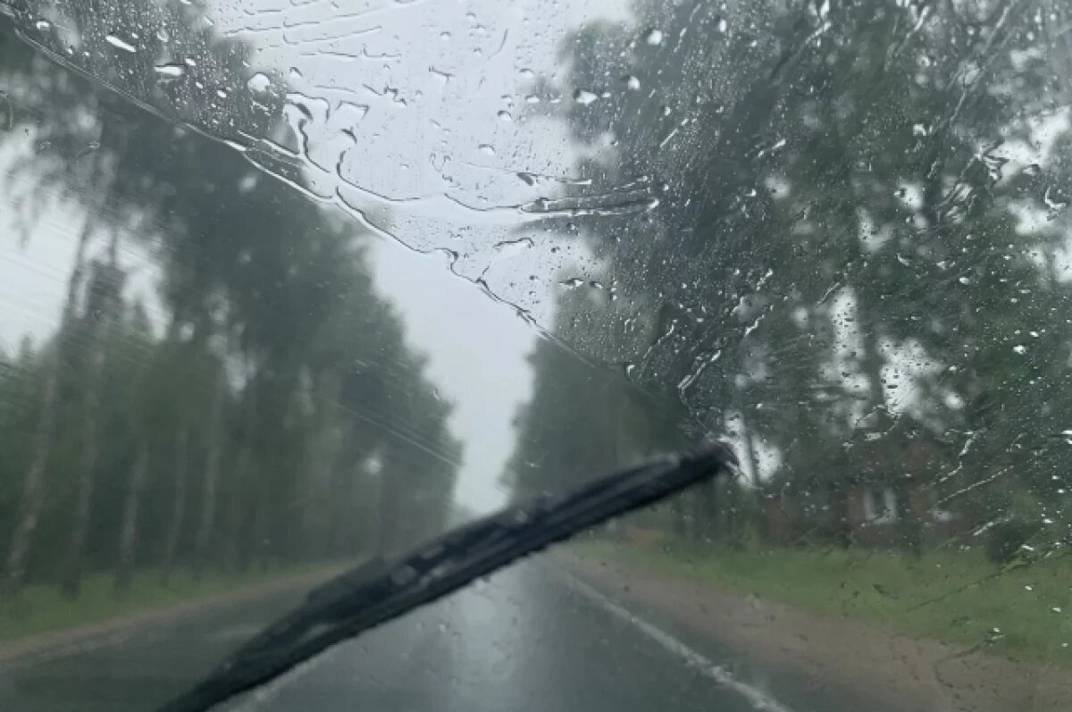    Прохладно и меньше осадков: какая погода будет в Хабаровском крае 10 июля