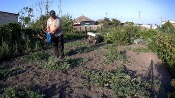 ЖИВЕМ В ДЕРЕВНЕ!!РЕМОНТ САРАЯ!!ДОЛИЛИ ПОЛ!!ЗАВЯЗАЛИСЬ БАКЛАЖАНЫ!!!ПОЛИВАЕМ ОГОРОД!!!