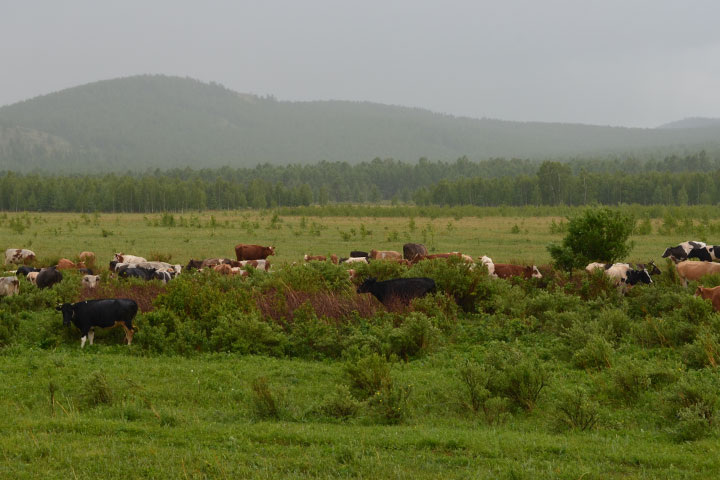 Фото: ИА "Хакасия" 