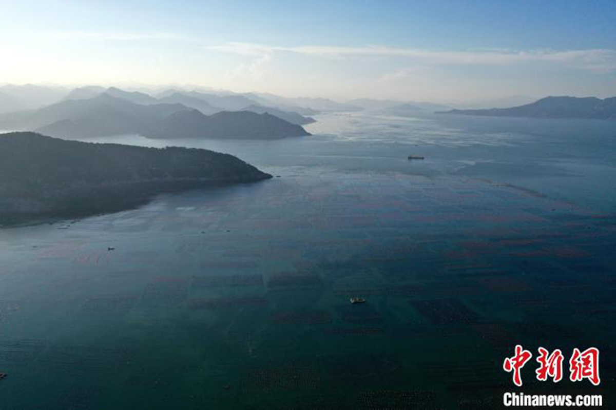    Фотофакт. В китайской провинции Фуцзянь начался сезон сбора морских ушек