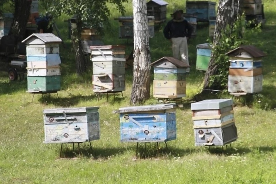    Пасека Олег УКЛАДОВ