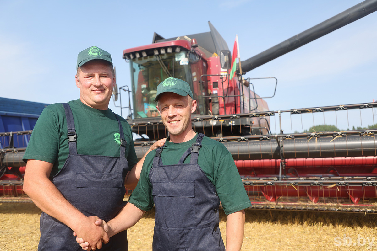    Первые недели жатвы показывают: в Могилевской области ожидается урожай выше прошлогоднего
