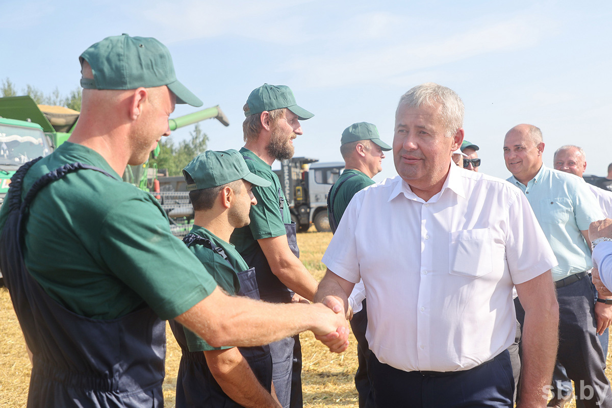    Первые недели жатвы показывают: в Могилевской области ожидается урожай выше прошлогоднего