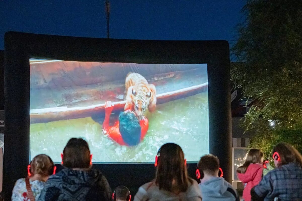     Источник: vk.com/myavk24