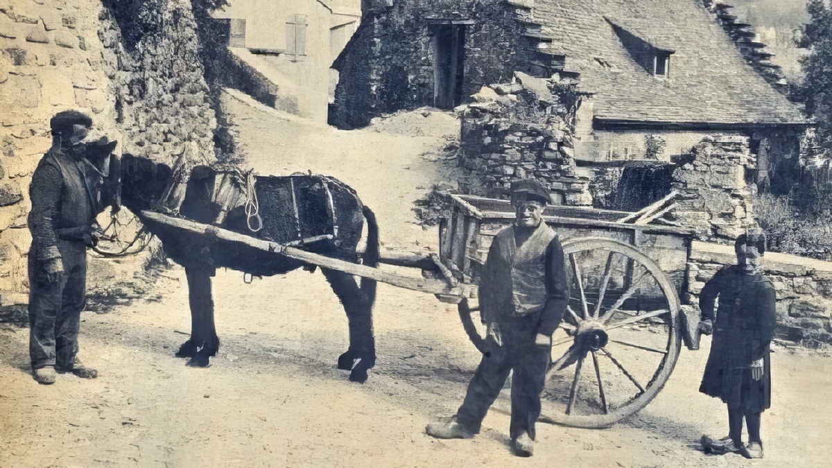 Европейские каготы