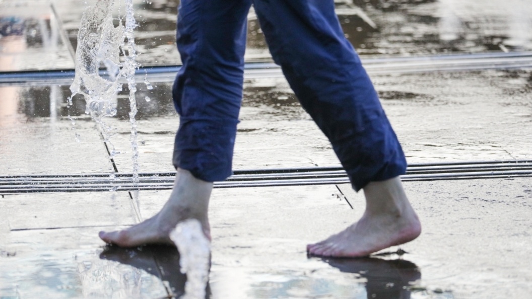    Фото: Belkin Alexey/Globallookpress