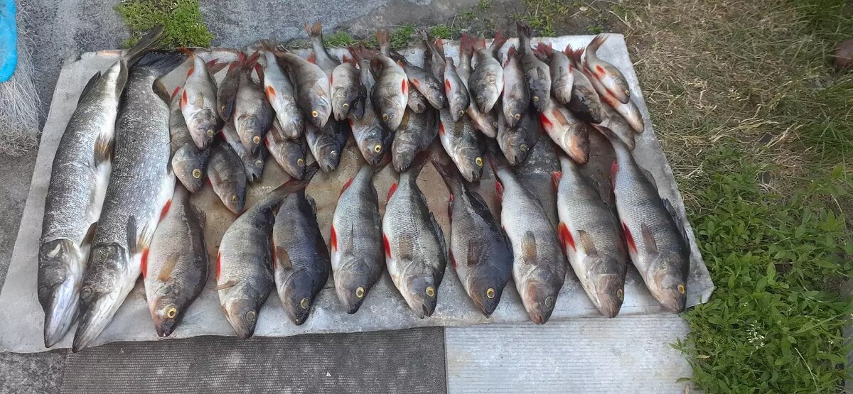     Источник: vk.com/fishingxmao