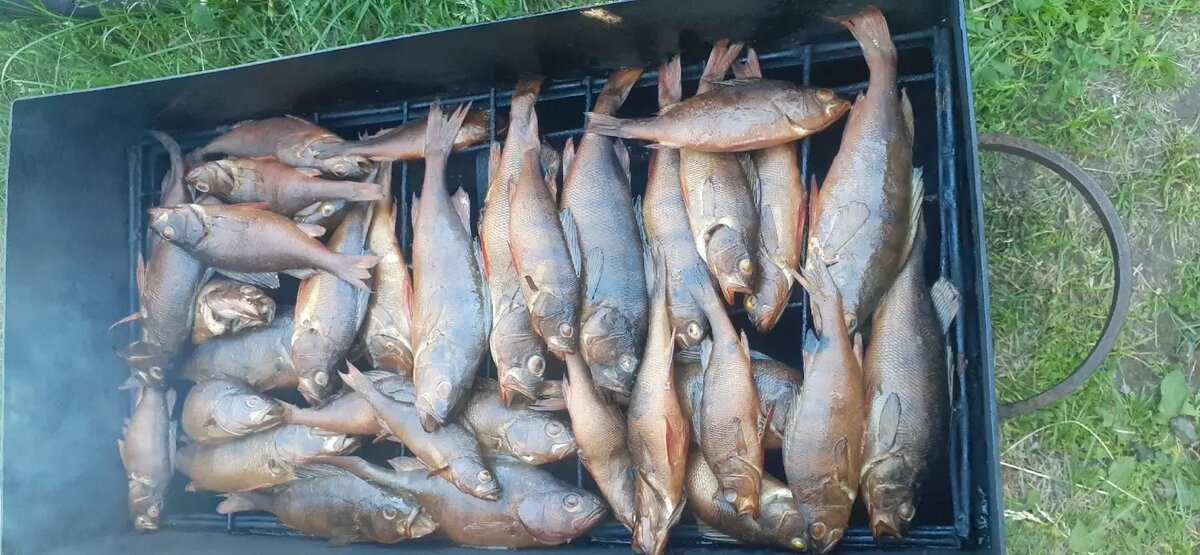    Источник: vk.com/fishingxmao