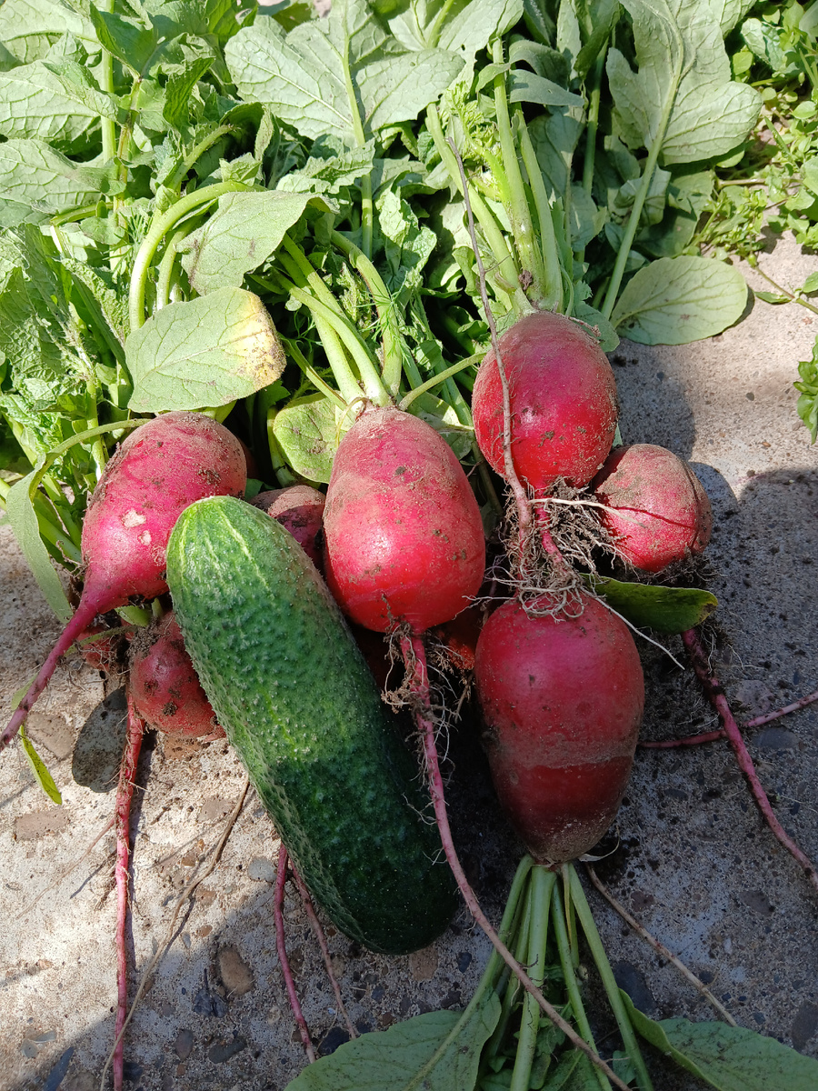 Фото автора.