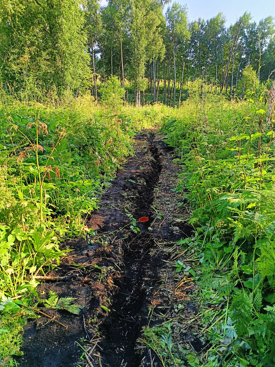 Канавка для учета. Оранжевое - ловчие конусы
