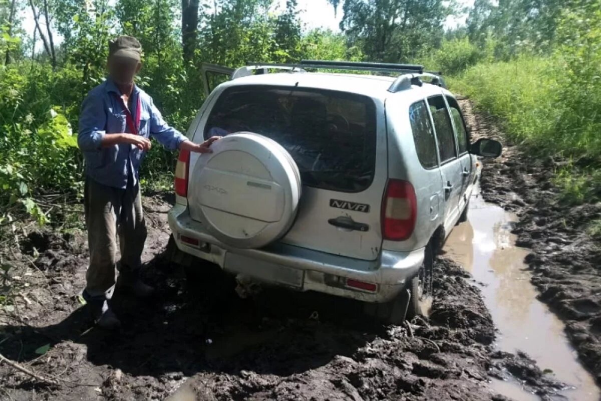    Дедушка и внук застряли в лесу на Южном Урале в поисках овец