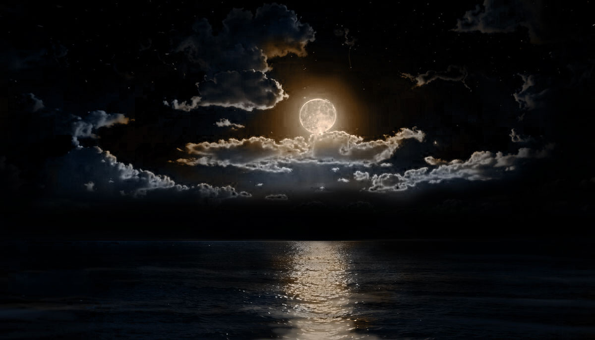 Ночь была прекрасна