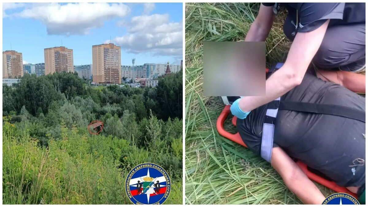     Источник: МАСС