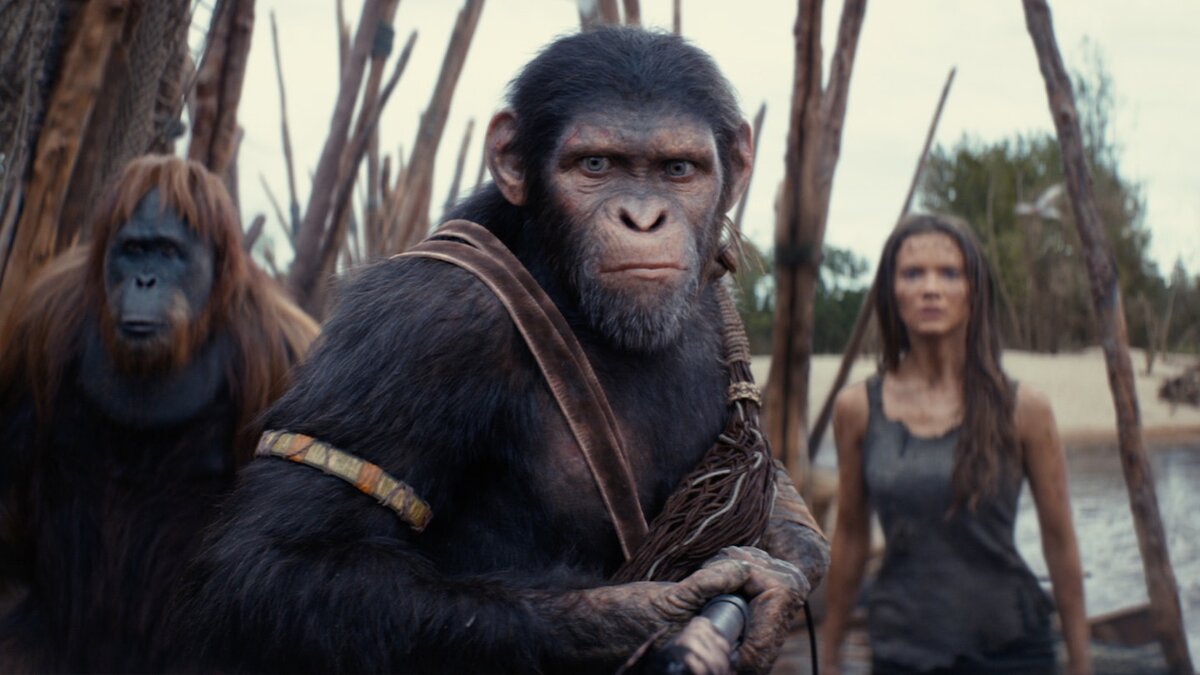 "Планета обезьян: Новое царство" - это один из главных фильмов года, рассчитывавших на лидерство в мировом прокате. Он действительно попал в лидеры - сейчас лента занимает 5-ю строчку.