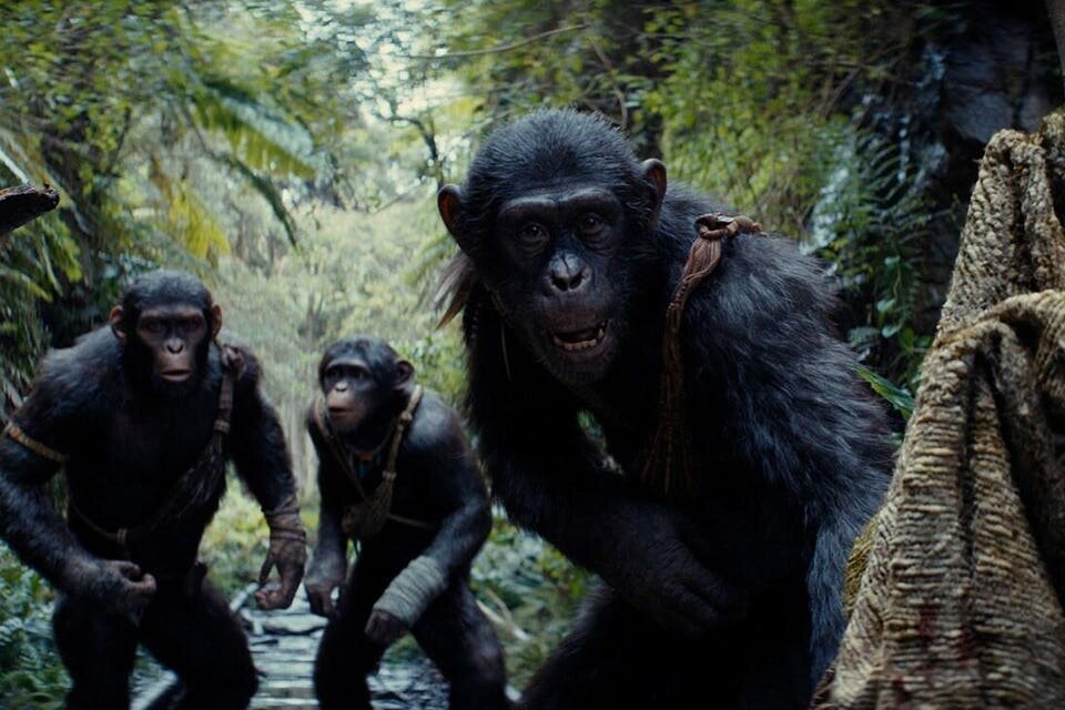 "Планета обезьян: Новое царство" - это один из главных фильмов года, рассчитывавших на лидерство в мировом прокате. Он действительно попал в лидеры - сейчас лента занимает 5-ю строчку.-2