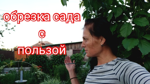 Вырастила сад и для красоты и для кур! Что съедобного в моём саду?