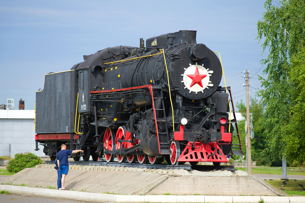 Длина локомотива — около 24 метров, а вес — более 90 тонн (это примерно как 15 крупных слонов). Фото: Shutterstock