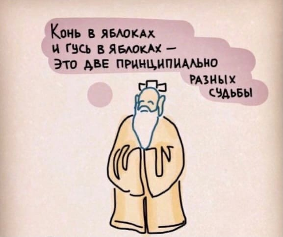 фото из сети 