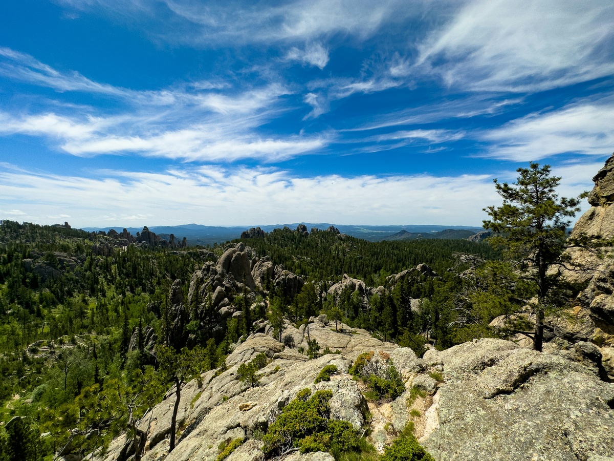 Фото с бесплатного фотостока https://unsplash.com, автор Taylor Finklea