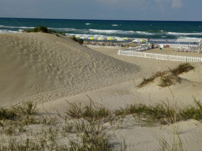 Песчаные дюны Анапы