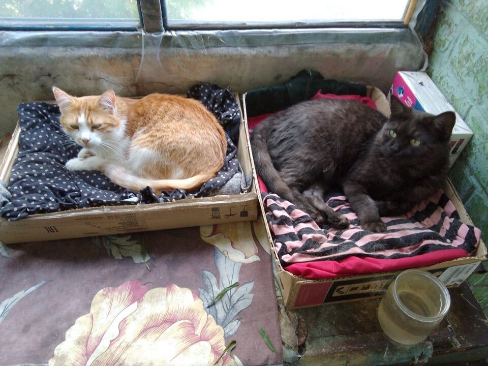 Байкер и Максик на балконе