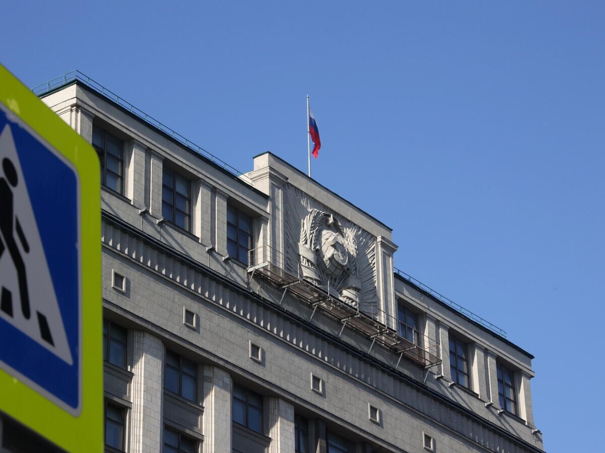    Здание Государственной Думы РФ © РИА Новости / Виталий Белоусов