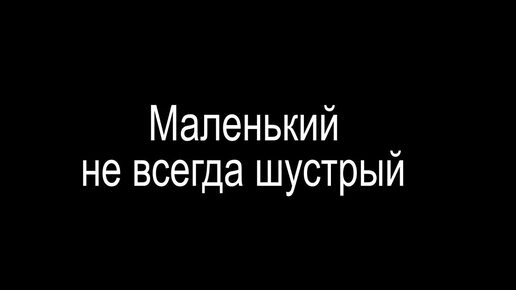 Маленький не всегда шустрый