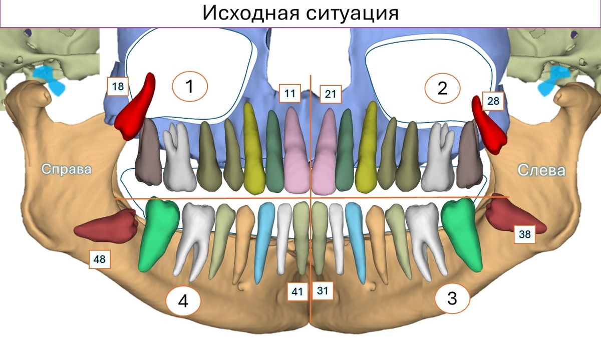 "Нумерология" в стоматологии)