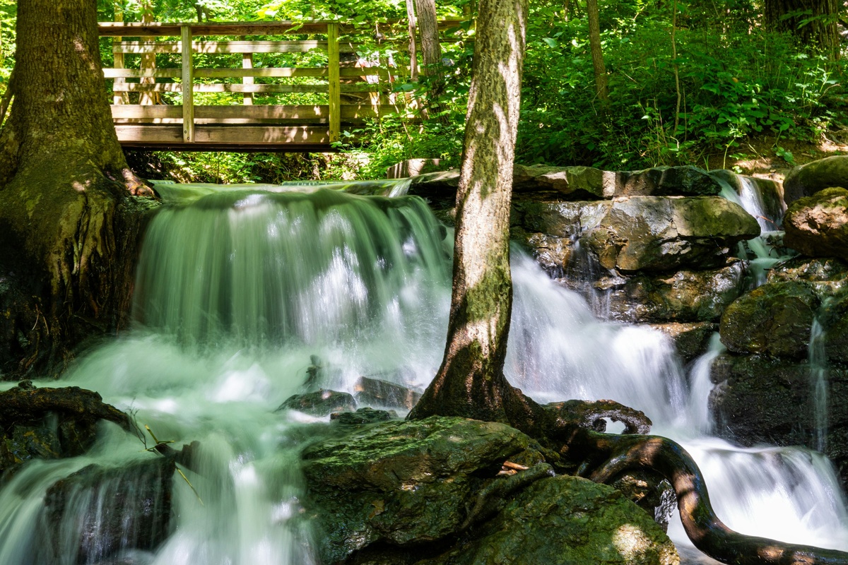Фото с бесплатного фотостока https://unsplash.com, автор Taylor Finklea