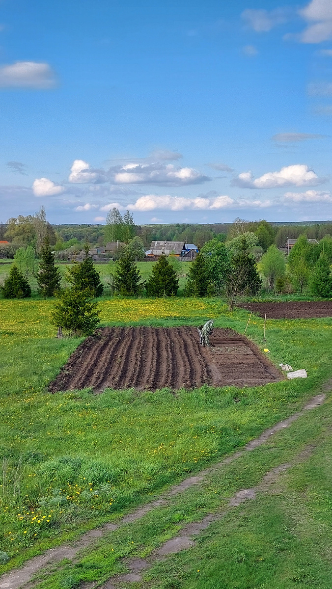 Тот самый первый огородик. Вырос до крупных размеров