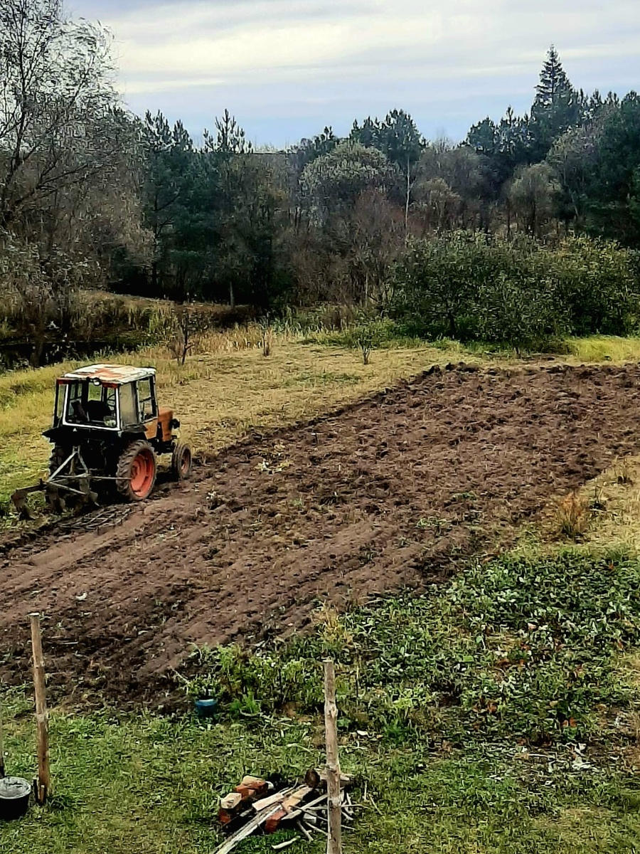 Работа идёт полным ходом