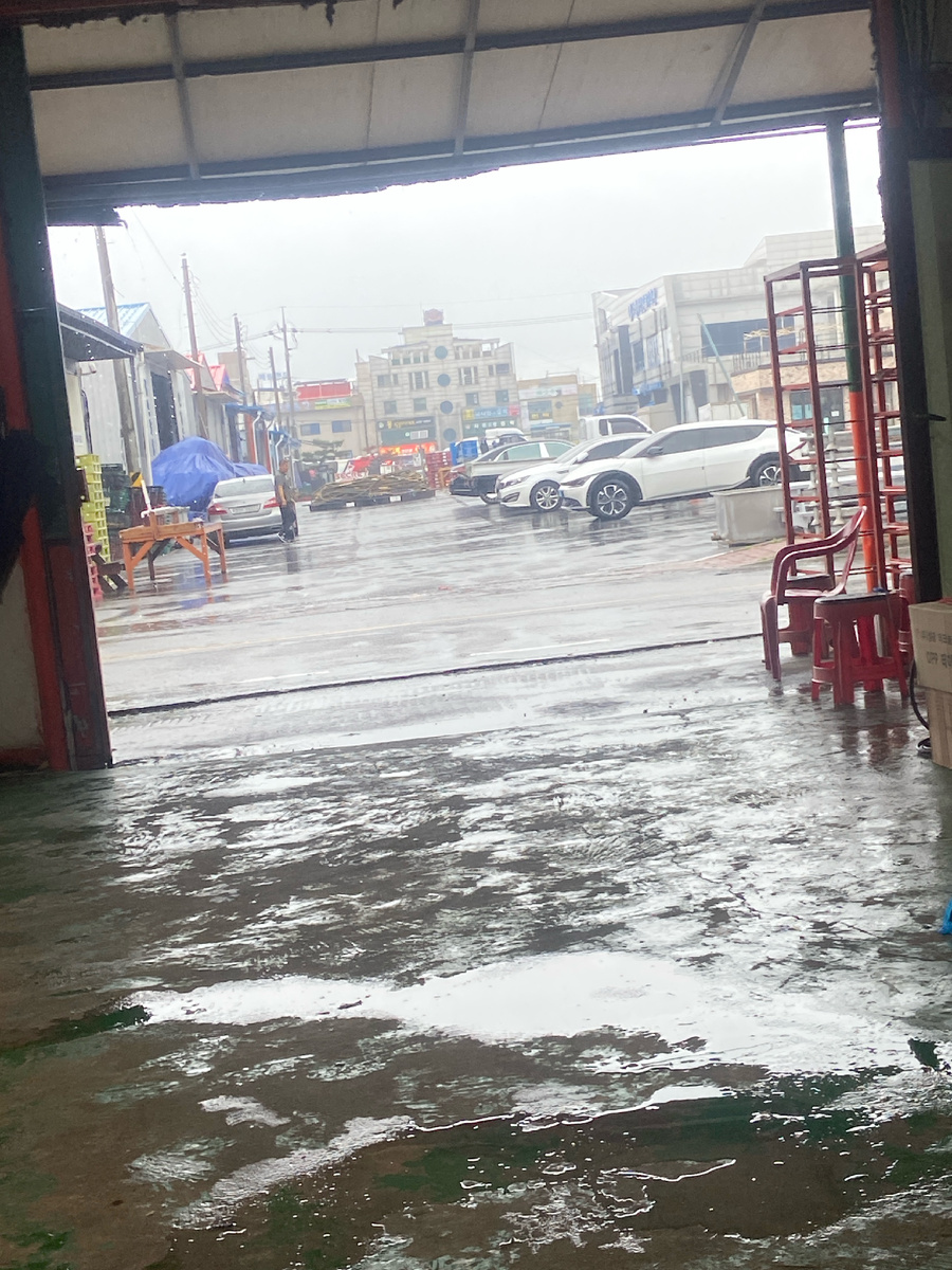 Крабовый завод. 