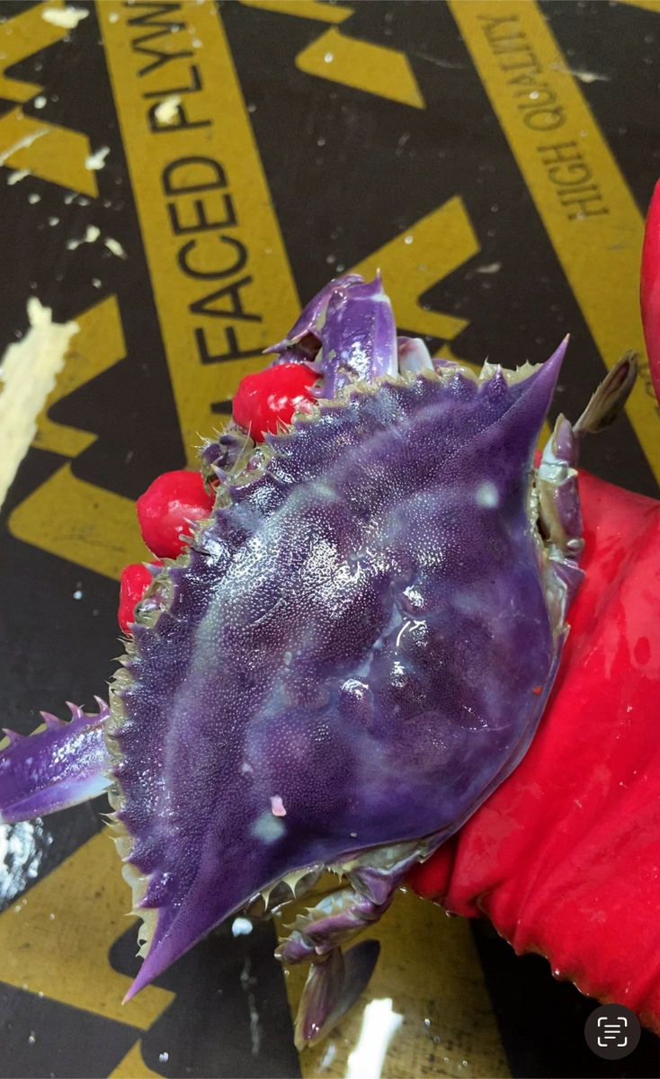 Первый знак. 