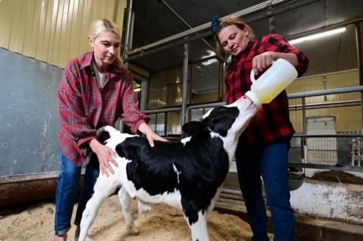    По льготной ставке.