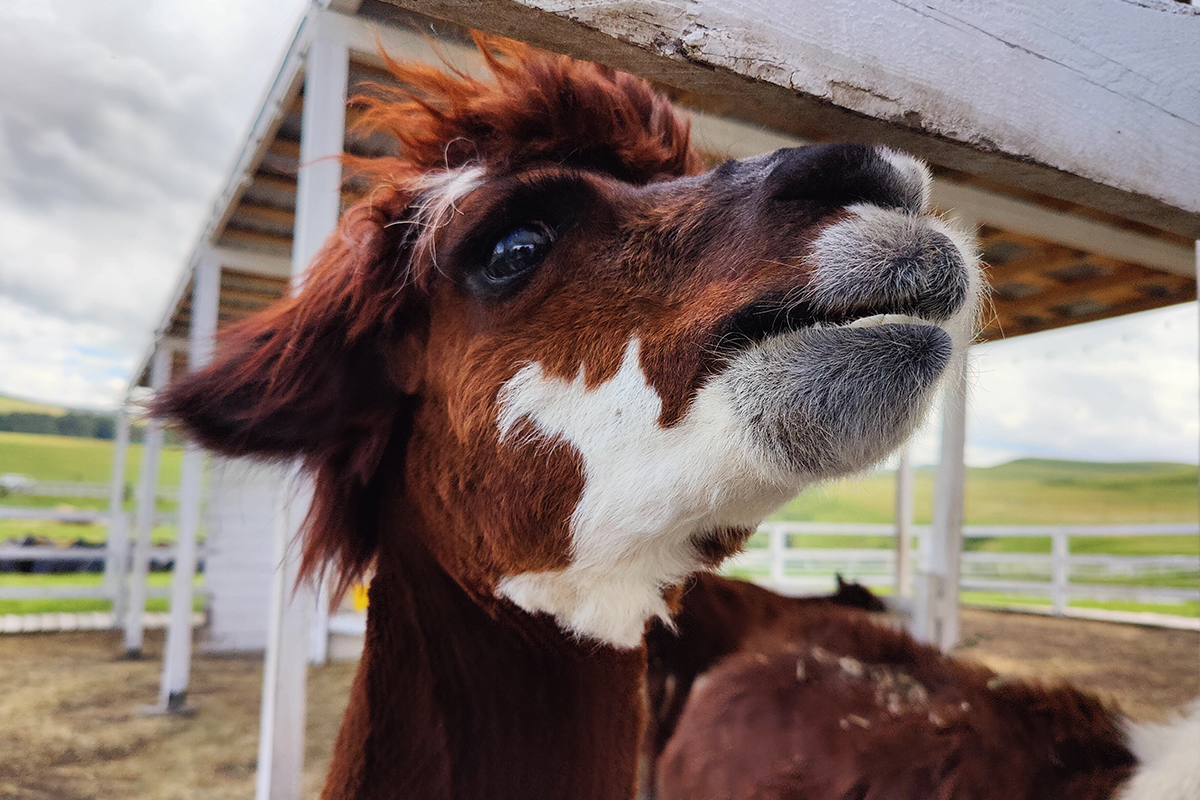 Фото: Мария Карагезова/ТАСС 

