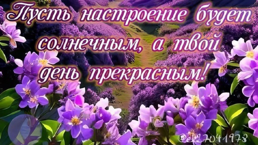 Карта дня 11 июля 2024🌺🌺🌺