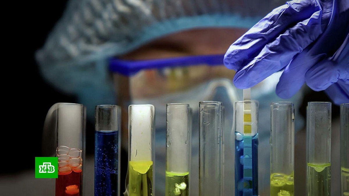    Взломать опухоль: принцип действия вакцины против рака