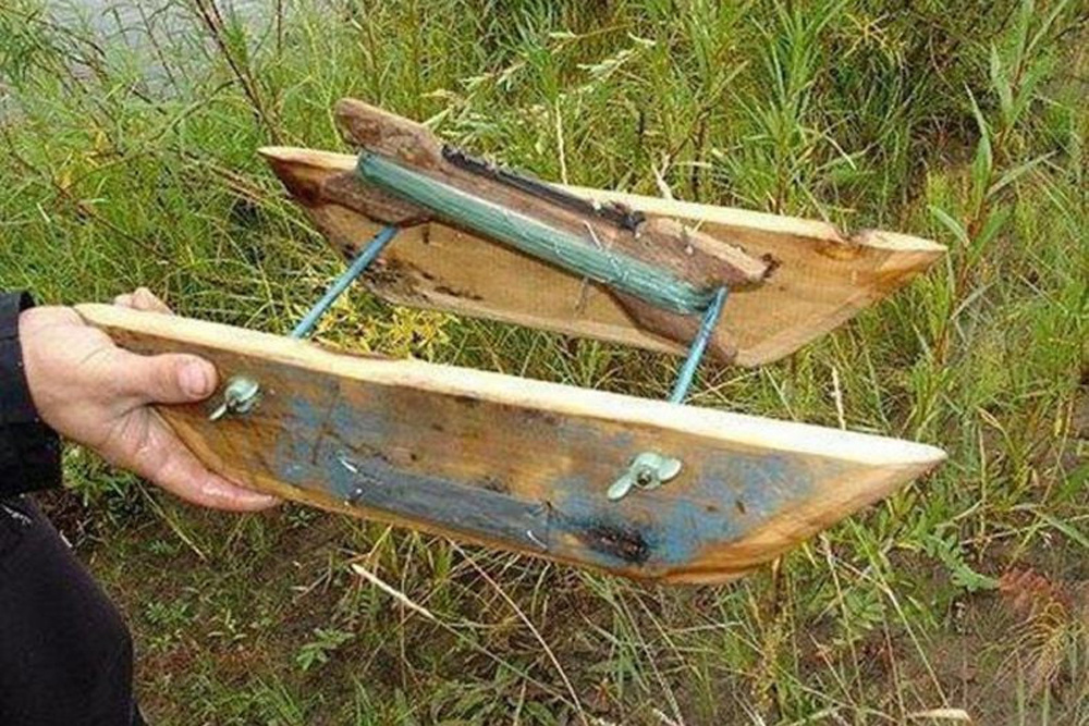    Голавль чаще, чем другая рыба, ловится на снасть «кораблик», или «саночки». Фото: Public domain