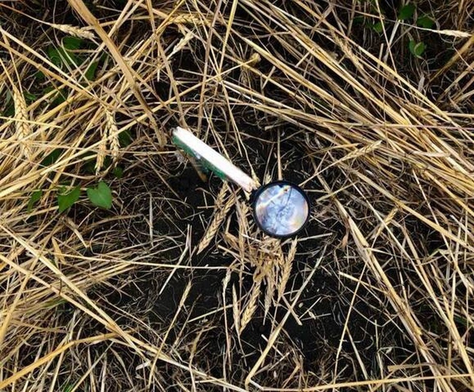    Фото: МЧС России по СК