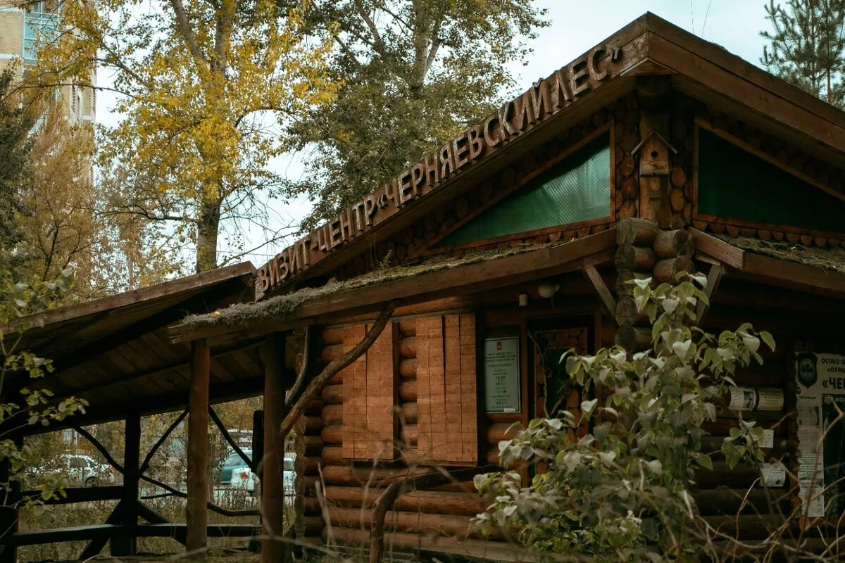     Источник: 1MI