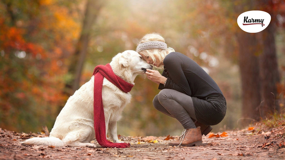 Авторское изображение с использованием картинки с сайта images.wallpapersden.com